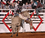 Ft. Worth Stock Show